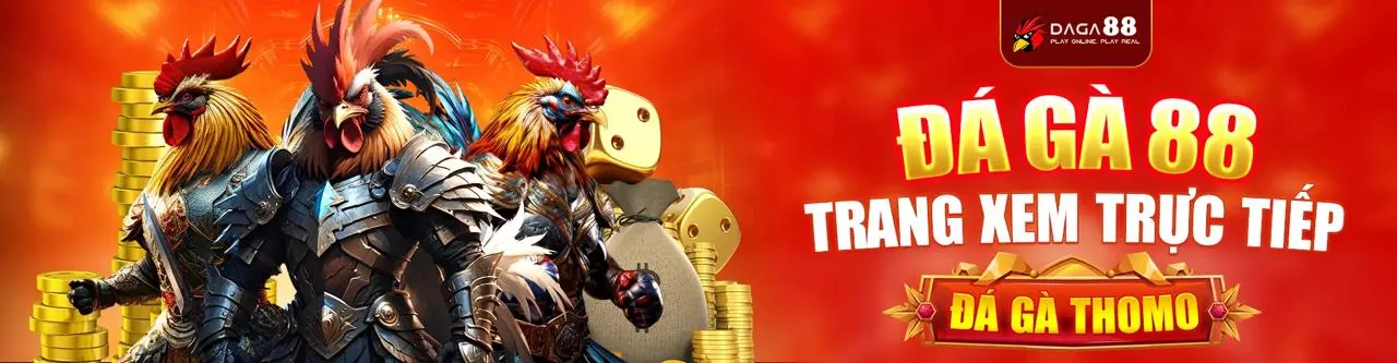 Đá gà trực tuyến kịch tính tại KIM66 Link Mới
